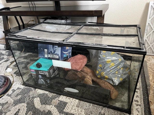 Items For Caring for Lizard