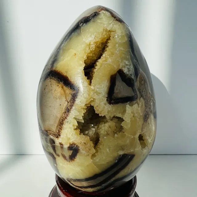 Natural Dragon Septarian Geode Egg Agate Crystal Palm Stone Reiki Healing 1.61LB