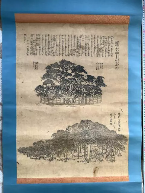 57 x 140 cm Japanese Hanging Scroll Kakejiku Asian Culture Art Painting Picture