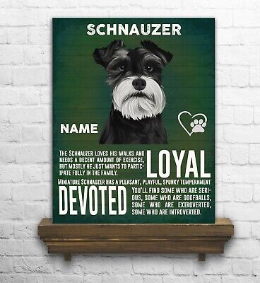 Personalised  Schnauzer Dog   Breed   Vintage Metal Sign Rts15
