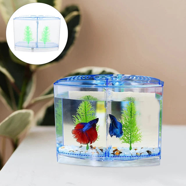 Shrimp Farming Tank Acrylic Fish Aquarium Accessories Starter Mini Animals