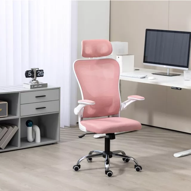 Panana Ergonomic Office Chair High Back Mesh Back Adjustable Headrest Flip-up