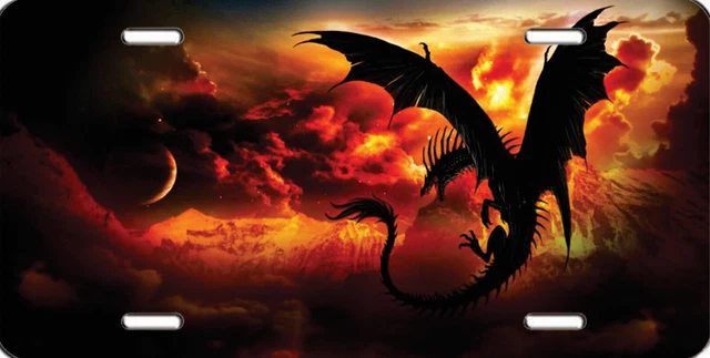 FLYING DRAGON NOVELTY LICENSE PLATE 6x12 Metal CAR TAG