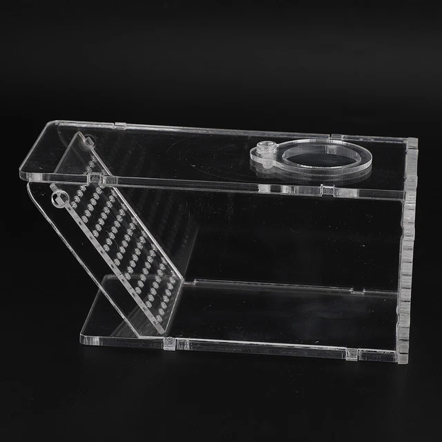 Acryl Aquarium Fish Tank Süßwasser-Krabbe Pest Trap Catcher Box Einweg-Trap GAO