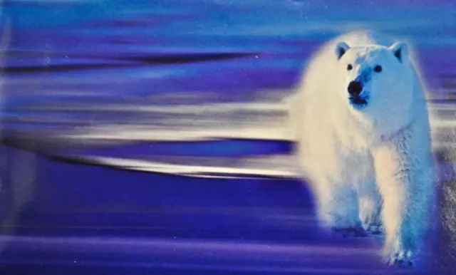 1999 Canada Uncirculated Proof-Like Set - Polar Bear