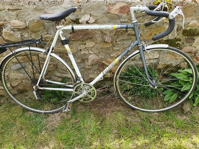 raleigh equipe 1980s