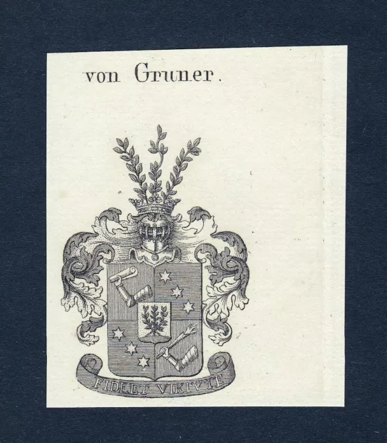 1820 Gruner Armoiries Adel Coat De Arms Heraldry Héraldique Gravure sur Cuivre