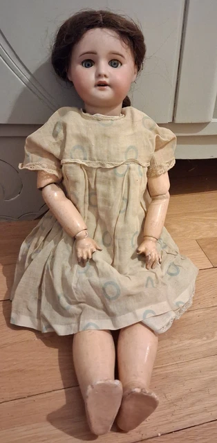 Poupée Ancienne Allemande Schildkröt – Années 1940, Collection
