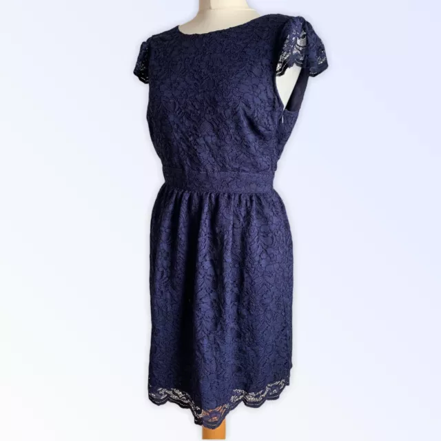 Forever 21 Dress M Fit UK 10 Navy Blue Lace Fit Flare Mini V Back Party Summer