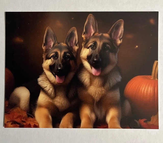 GERMAN SHEPHERD PUPPIES HALLOWEEN PUMPKIN DOG POSTCARD PRINT PHOTO 4 1/