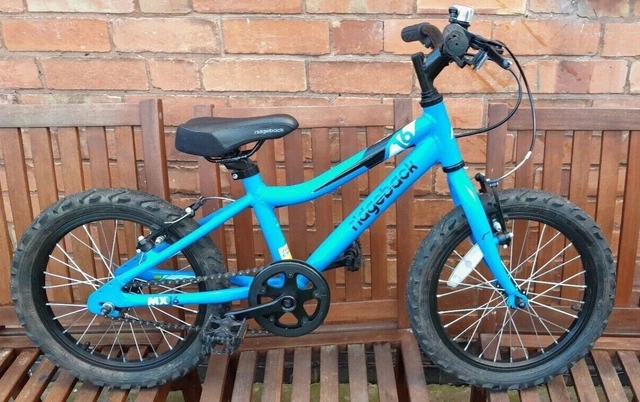 Ridgeback sales mx16 age