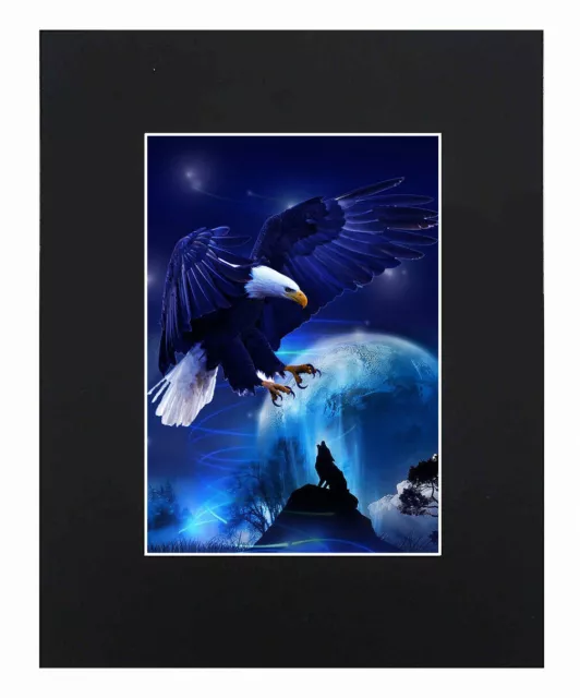 American Bald Eagle and Gray Wolf Art Print Poster Decor Picture Display Matted