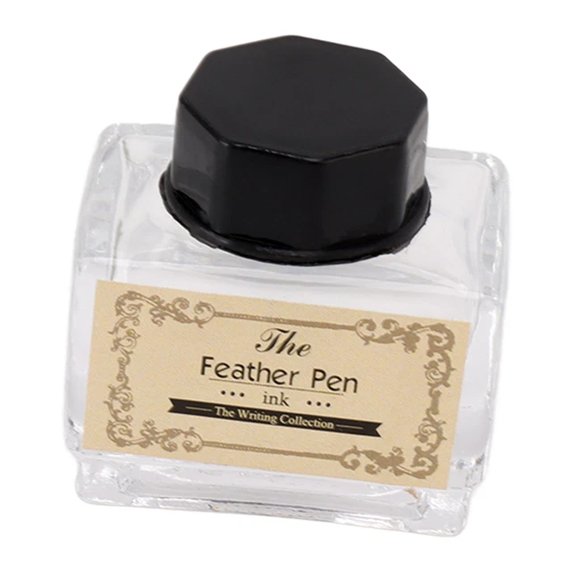 Ensemble Stylo Plume Et Encre Stylo Plume Scintillant Avec Encre 2 Plumes De