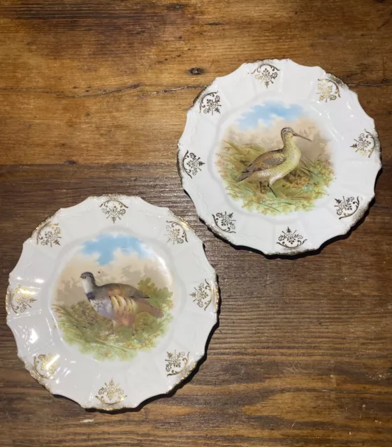 Vintage Antique Bavarian Bird Game Plate Set, Porcelain Gilded Gold Trim