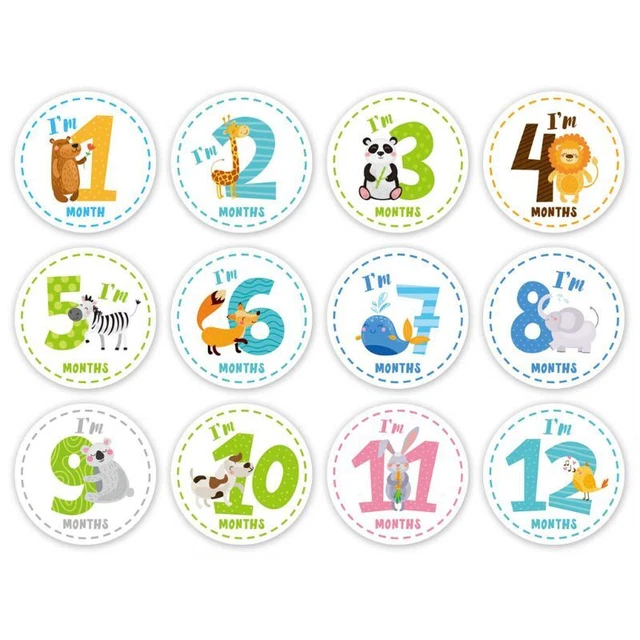 1-12 Months Baby Monthly Sticker Baby Photography Props Photo Stickers