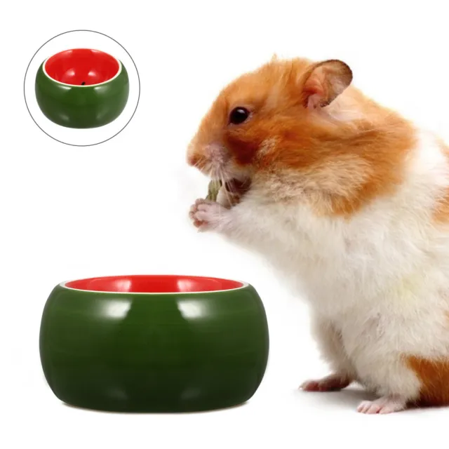 Ceramic Hamster Bowl Rabbit Food Dish Small Pet Watermelon Feeder Puppy