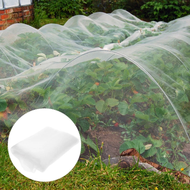 mesh net for birds Gartennetznetzschutz Bildschirm Vogel Netting Gartenbild