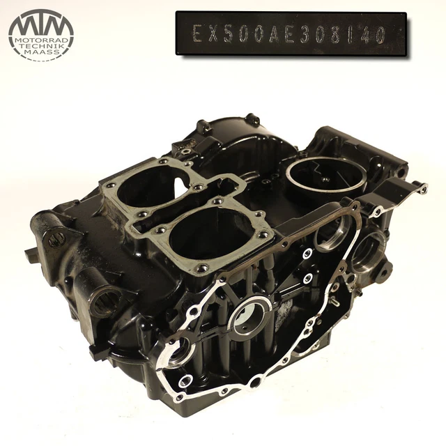 Alloggiamento motore Kawasaki KLE500 (LE500ABA)