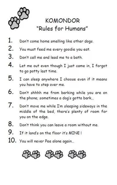 Komondor "Rules for Humans" - CUSTOM MATTED - Dog Art Print : GIFT
