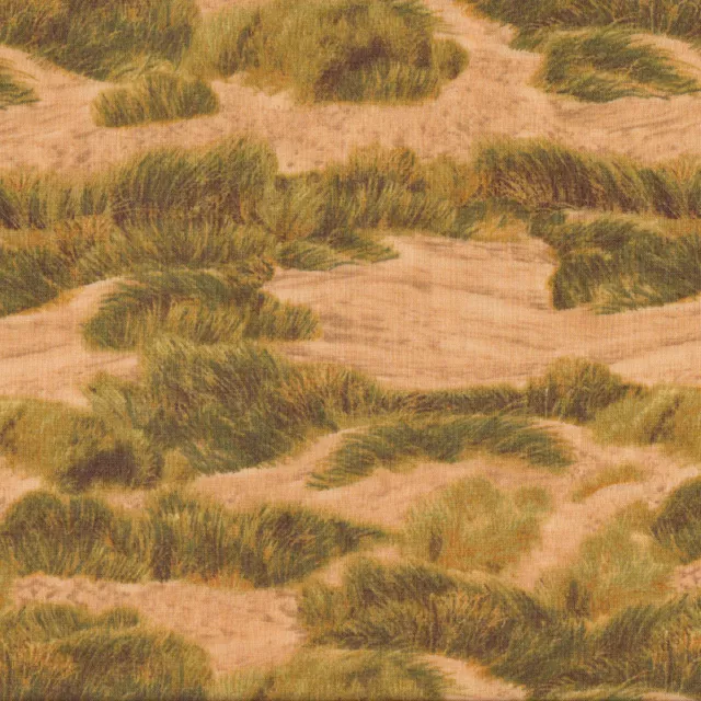 NEW Green Grass on Golden Sand Dunes Beach Landscape Quilting Fabric 1/2 Metre