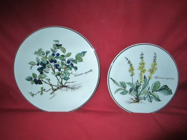 Plat à gratin ovale porcelaine à feu vintage Villeroy & Boch Botanica -  Ressourcerie Histoires Sans Fin