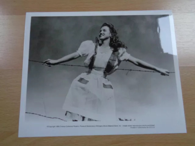 1945 Vintage Original Marilyn Monroe Photo 25Cmx20Cm Andre De Dienes Printed Usa