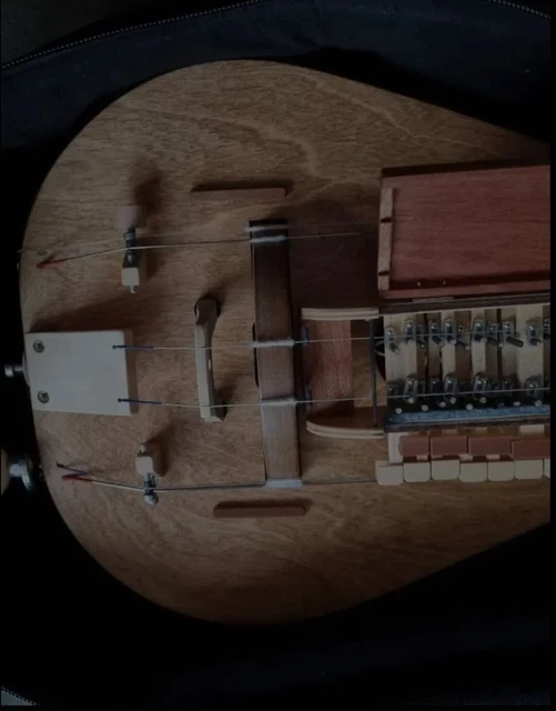 A 2/2/2 set up hurdy gurdy made by knysinstruments. His first catnip model 