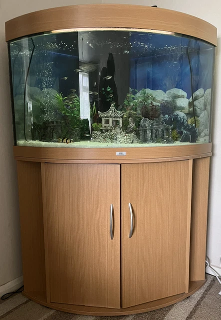Juwel Complete Tropical Aquarium Corner Fish Tank, Ornaments and Fish