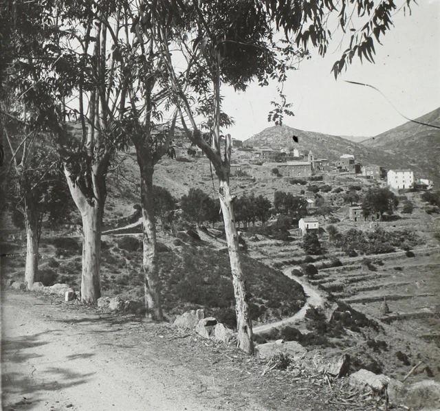 FRANCE CORSE c1930 Photo Vintage Plaque de verre V35L7n15