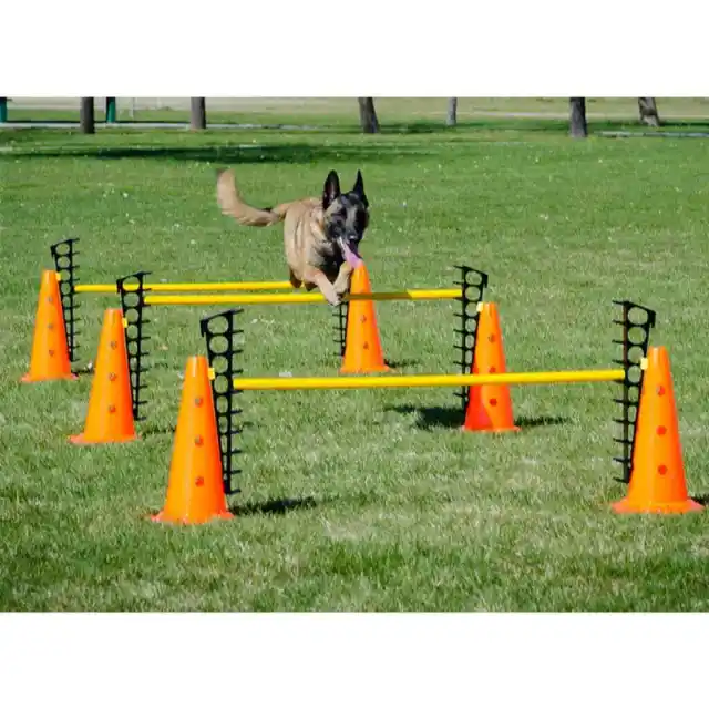 FitPAWS set sport per cani agilità ostacolo allenamento ostacoli conici set ostacoli Fi