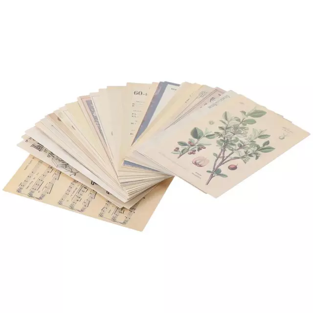 Botanical Card Props Multicolour Postcard Set Retro Style   Office