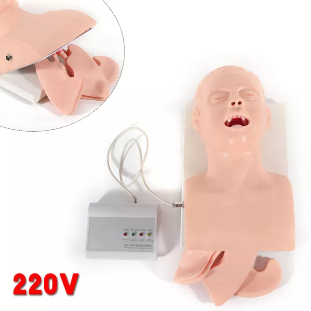 Intubation Manikin Study Teaching Simulator Airway Management Trainer Tool Model