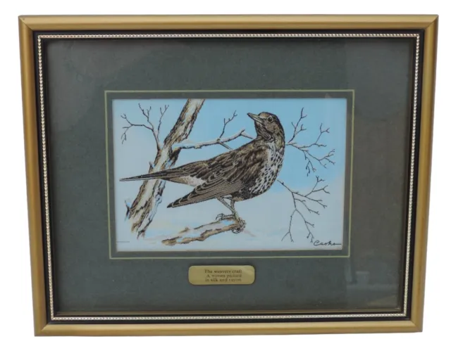 Cash's of Coventry Silk Woven Picture - Birds - Mistle Thrush