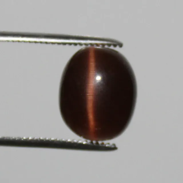 Natural 12.95 Ct Brown Chrysoberyl Cat's Eye Fine Oval Cabochon Loose Gemstone