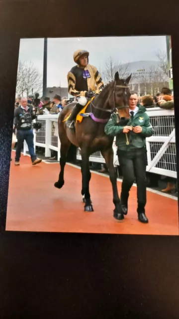 Bellshill & Ruby Walsh -  10" x 8" Colour Photograph