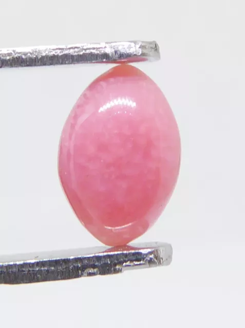 Conch pearl, pink, pastel, salmon Weight: 1 carat