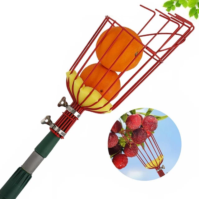 Raccogli Frutta Telescopico 4,2 Metri - Con Sacchetto E Angolo Regolabile - Foto 9