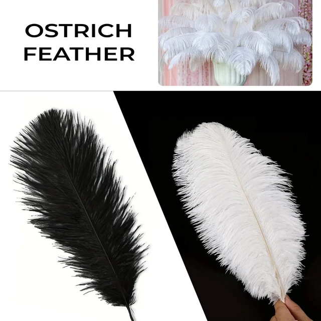 Noir/Blanc Autruche Plumes Fly Plume Art, Craft, Costume Décoration - Plumes