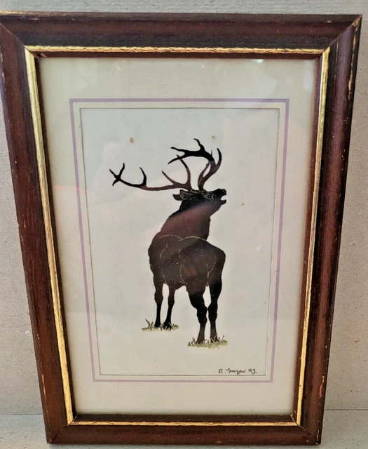 Immagine firmata 1993 di un cervo cervo cervo