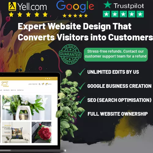 Expert Website Design and Google Business (Domain, Hosting and SEO Included)