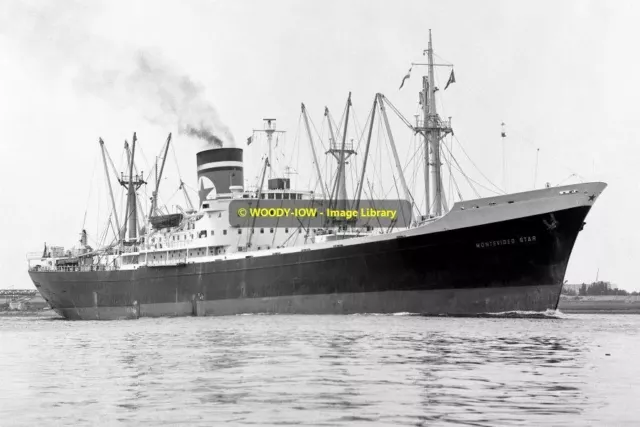 mc1833 - Blue Star Cargo Ship - Montevideo Star , built 1956 - photograph 6x4