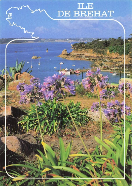 Carte Et Vues Anciennes De L'Île De Bréhat - Document D'occasion