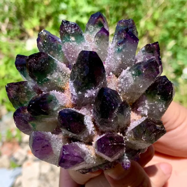 366G New Find purple PhantomQuartz Crystal Cluster MineralSpecimen