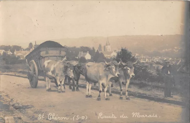 Cpa 91 Saint Cheron / Carte Photo / Route Du Marais / Attelage De Boeufs