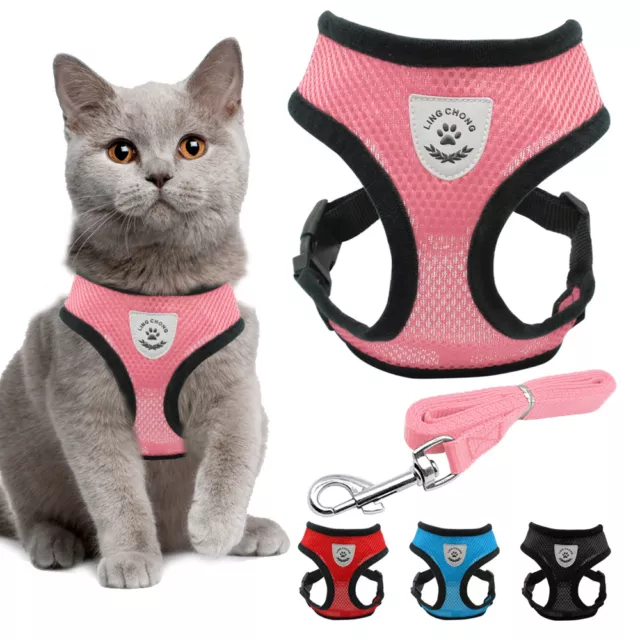 Cute Cat Walking Harness and Leash Large Kitten Clothes Pink Blue Red Black