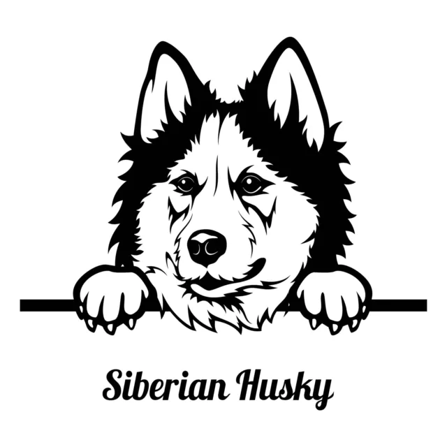 Autoaufkleber /Sticker/Innen und Außen Porträt Kopf Umriss Foto Siberian Husky 3