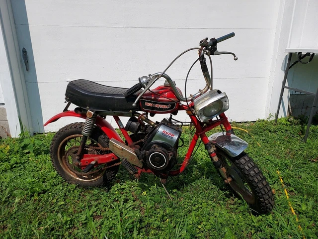 rupp roadster mini bike