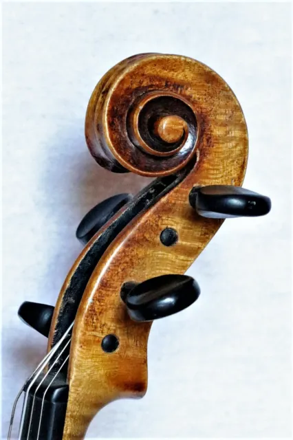 Alte Geige lab. "E. GERMAIN Á PARIS" ~1890 - Old violin