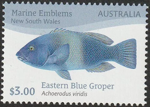 2024 $3.00 'Eastern Blue Groper' New South Wales Marine Emblem Stamp:Muh