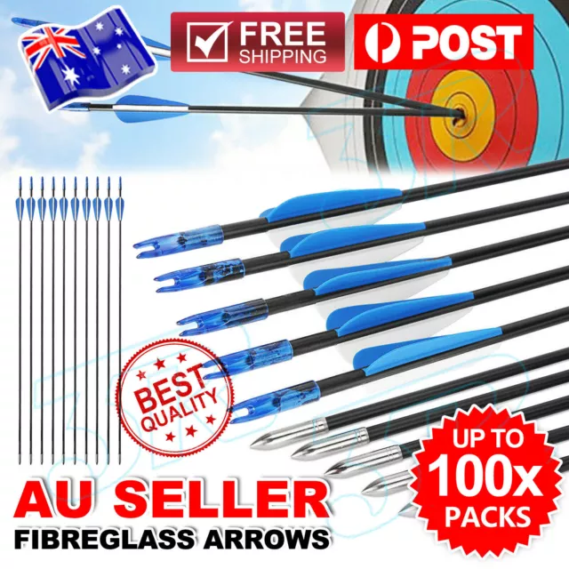 10 x 31" Fiberglass Arrows Archery Hunting Target Compound Bow Fiber Glass Bows